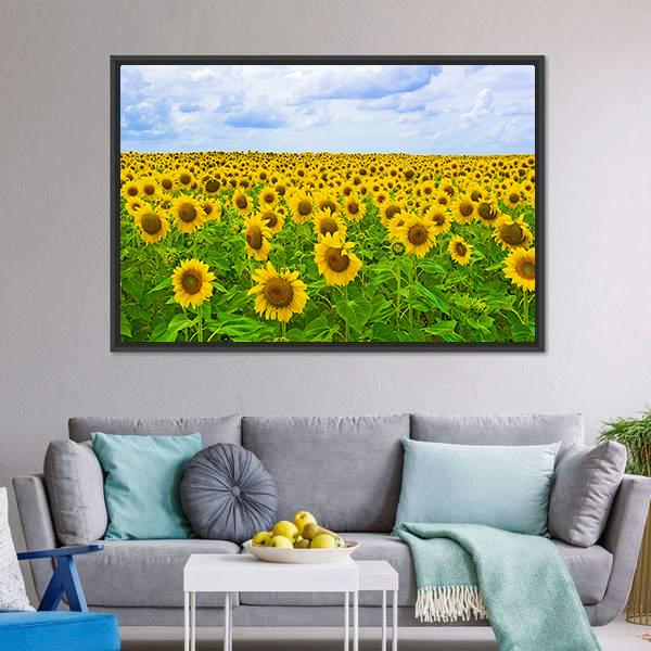 Field Of Sunflower Canvas Wall Art-3 Horizontal-Gallery Wrap-25" x 16"-Tiaracle