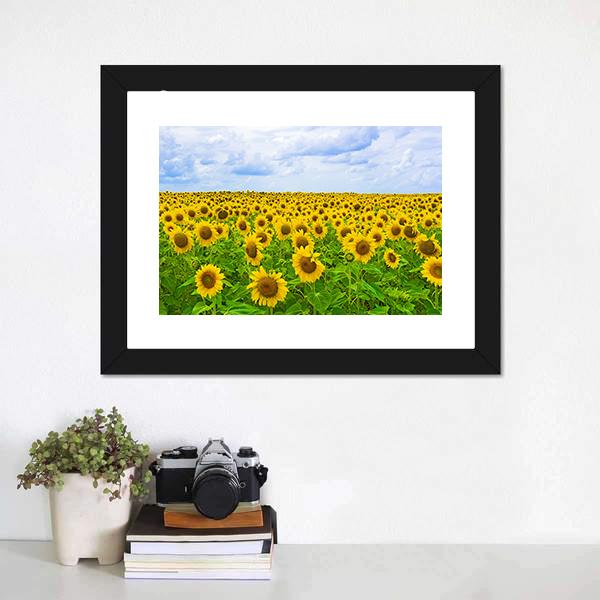 Field Of Sunflower Canvas Wall Art-1 Piece-Framed Print-20" x 16"-Tiaracle