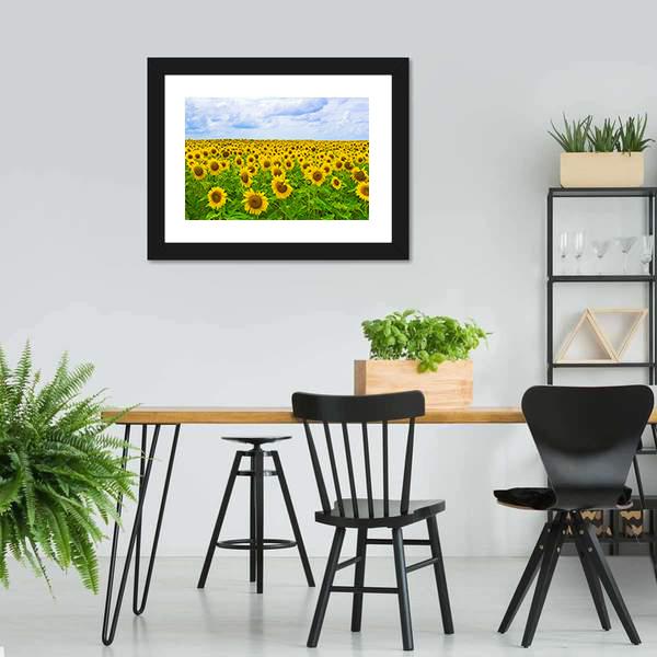 Field Of Sunflower Canvas Wall Art-3 Horizontal-Gallery Wrap-25" x 16"-Tiaracle