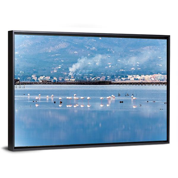 Flamingo Group In Water Canvas Wall Art-3 Horizontal-Gallery Wrap-25" x 16"-Tiaracle