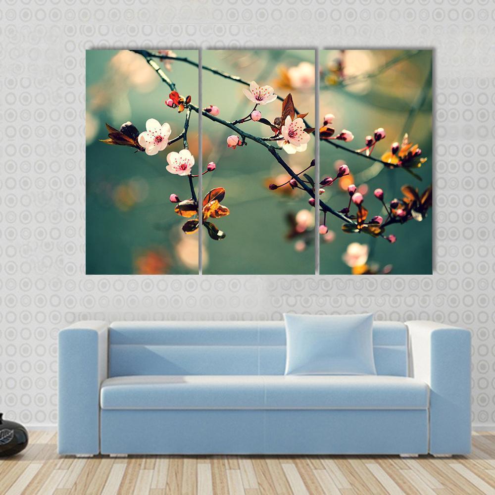 Flowering Japanese Cherry Canvas Wall Art-3 Horizontal-Gallery Wrap-37" x 24"-Tiaracle