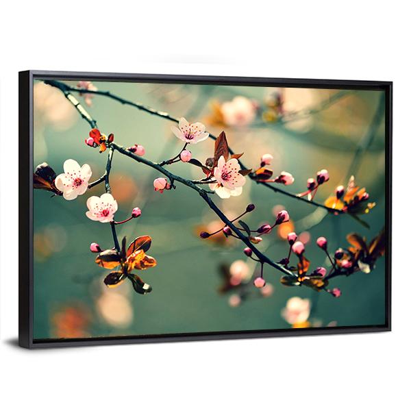 Flowering Japanese Cherry Canvas Wall Art-3 Horizontal-Gallery Wrap-25" x 16"-Tiaracle