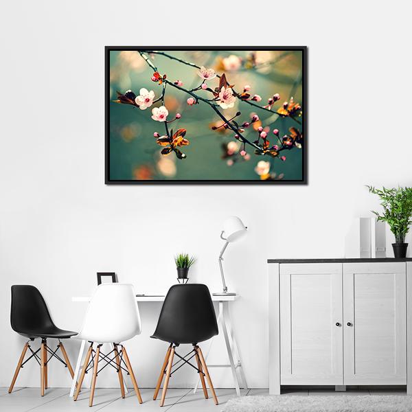 Flowering Japanese Cherry Canvas Wall Art-3 Horizontal-Gallery Wrap-25" x 16"-Tiaracle