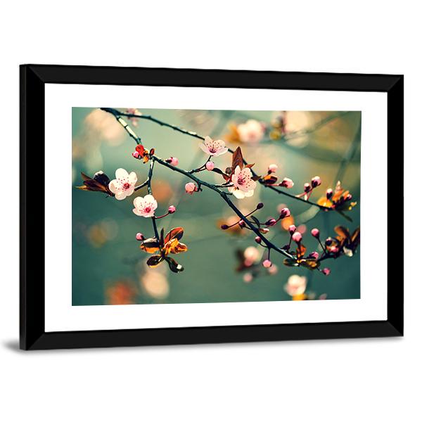 Flowering Japanese Cherry Canvas Wall Art-3 Horizontal-Gallery Wrap-25" x 16"-Tiaracle