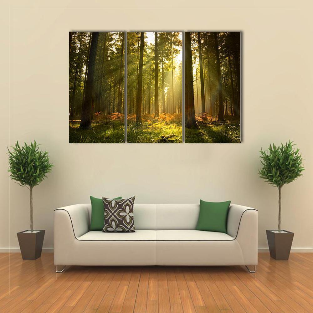 Forest At Dusk Canvas Wall Art-3 Horizontal-Gallery Wrap-37" x 24"-Tiaracle