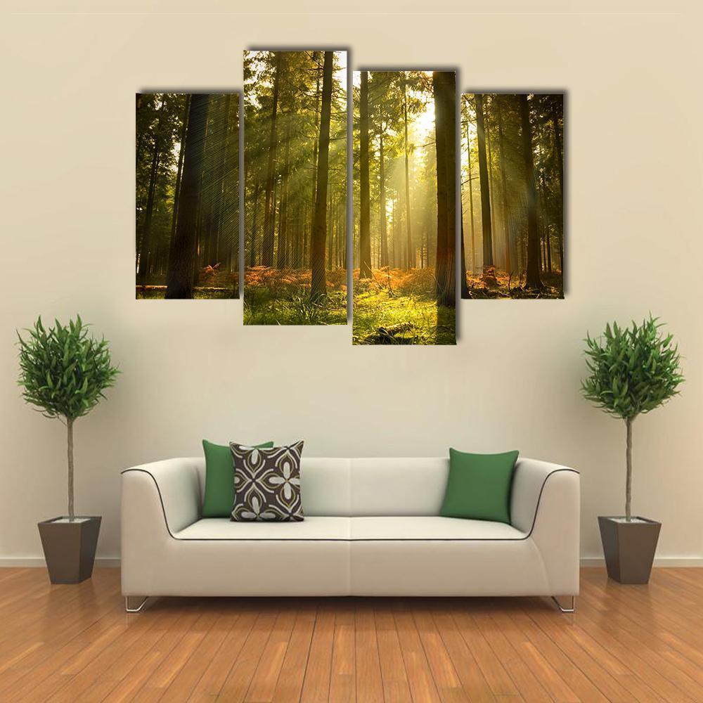 Forest At Dusk Canvas Wall Art-4 Pop-Gallery Wrap-50" x 32"-Tiaracle