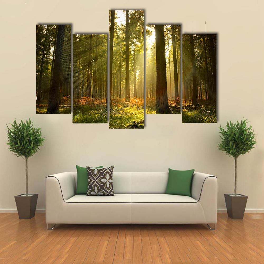 Forest At Dusk Canvas Wall Art-5 Pop-Gallery Wrap-47" x 32"-Tiaracle