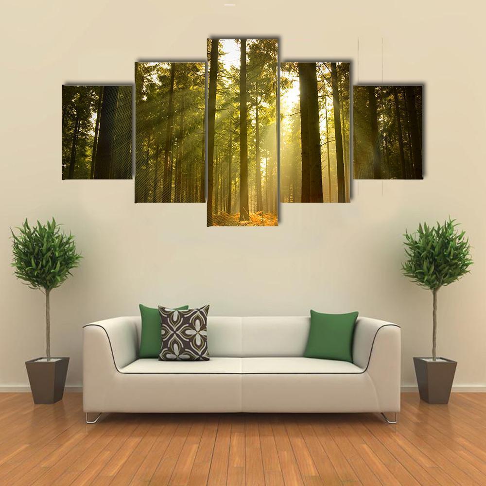 Forest At Dusk Canvas Wall Art-5 Star-Gallery Wrap-62" x 32"-Tiaracle