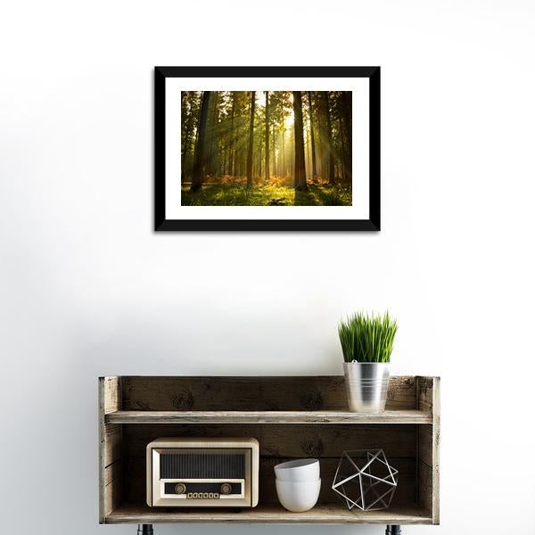 Forest At Dusk Canvas Wall Art-1 Piece-Framed Print-20" x 16"-Tiaracle