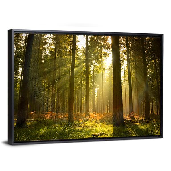 Forest At Dusk Canvas Wall Art-3 Horizontal-Gallery Wrap-25" x 16"-Tiaracle