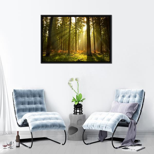 Forest At Dusk Canvas Wall Art-3 Horizontal-Gallery Wrap-25" x 16"-Tiaracle