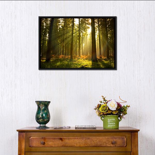 Forest At Dusk Canvas Wall Art-1 Piece-Floating Frame-24" x 16"-Tiaracle