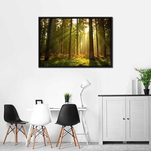 Forest At Dusk Canvas Wall Art-3 Horizontal-Gallery Wrap-25" x 16"-Tiaracle