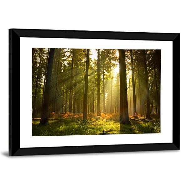 Forest At Dusk Canvas Wall Art-3 Horizontal-Gallery Wrap-25" x 16"-Tiaracle