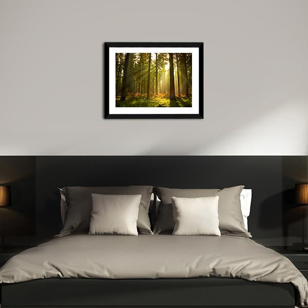 Forest At Dusk Canvas Wall Art-3 Horizontal-Gallery Wrap-25" x 16"-Tiaracle