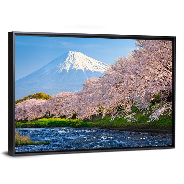 Fuji & Sakura At River Canvas Wall Art-3 Horizontal-Gallery Wrap-25" x 16"-Tiaracle