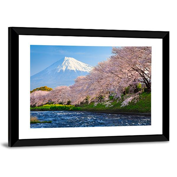 Fuji & Sakura At River Canvas Wall Art-3 Horizontal-Gallery Wrap-25" x 16"-Tiaracle