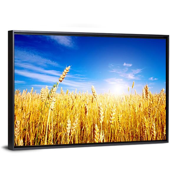 Golden Wheat Field Canvas Wall Art-3 Horizontal-Gallery Wrap-25" x 16"-Tiaracle