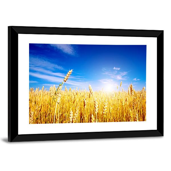 Golden Wheat Field Canvas Wall Art-3 Horizontal-Gallery Wrap-25" x 16"-Tiaracle