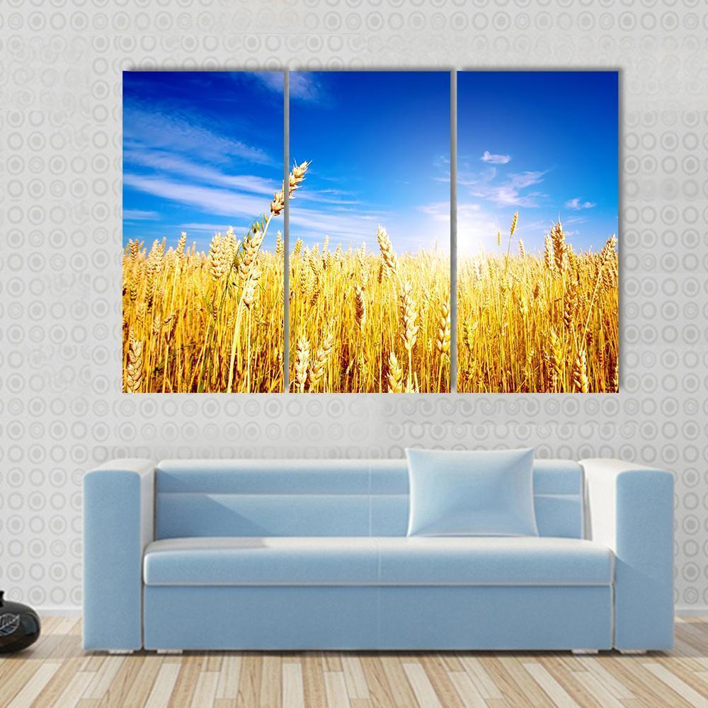 Golden Wheat Field Canvas Wall Art-3 Horizontal-Gallery Wrap-37" x 24"-Tiaracle