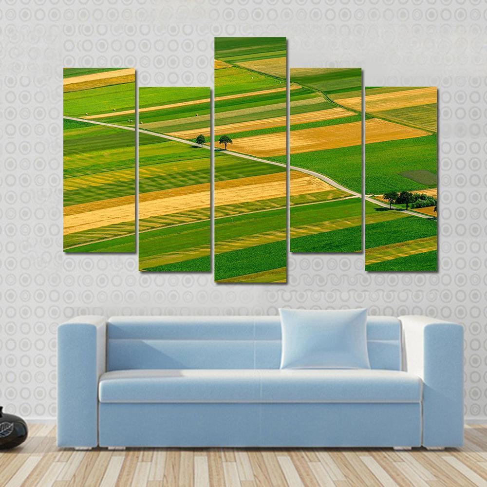 Green Fields View Before Harvest Canvas Wall Art-5 Pop-Gallery Wrap-47" x 32"-Tiaracle