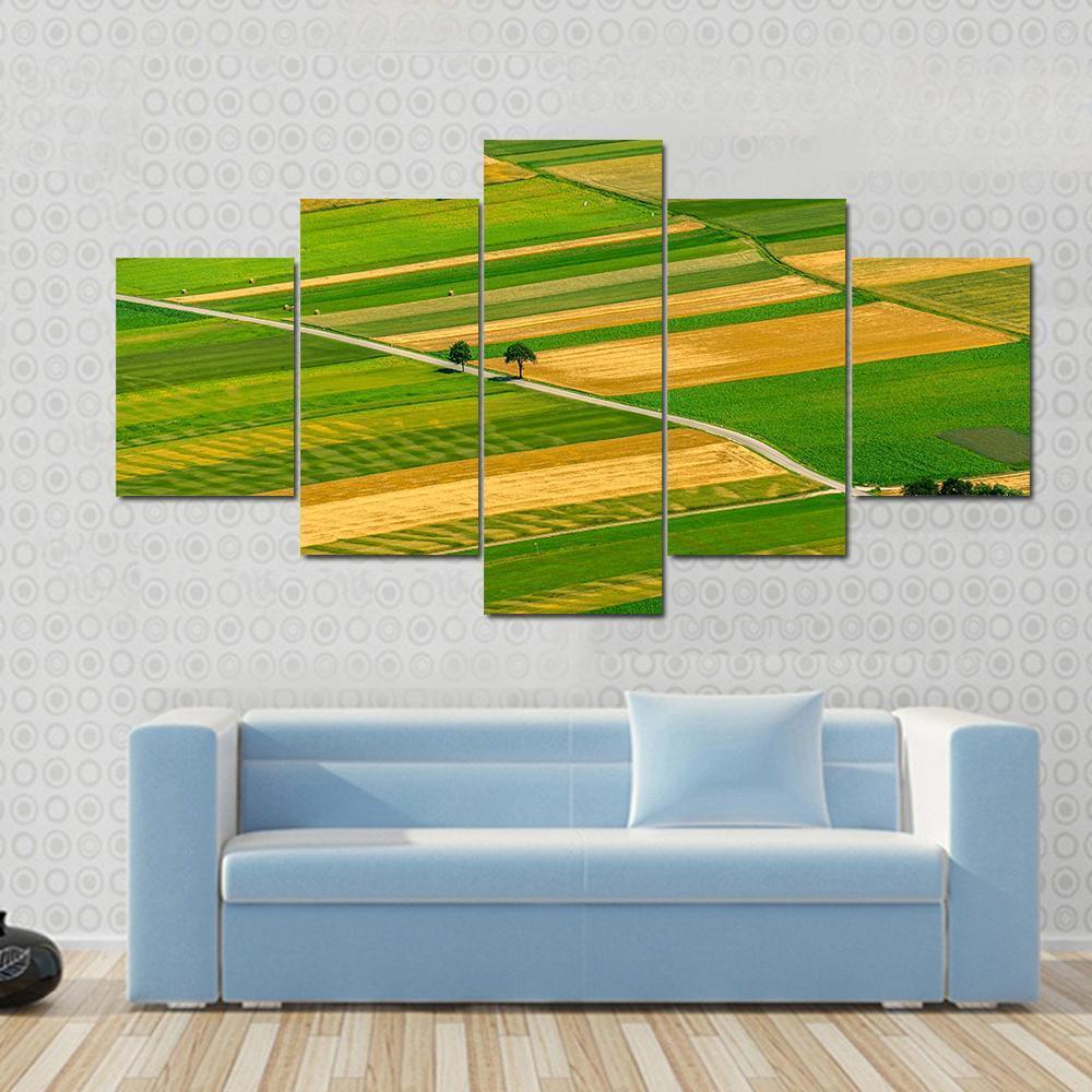 Green Fields View Before Harvest Canvas Wall Art-5 Star-Gallery Wrap-62" x 32"-Tiaracle