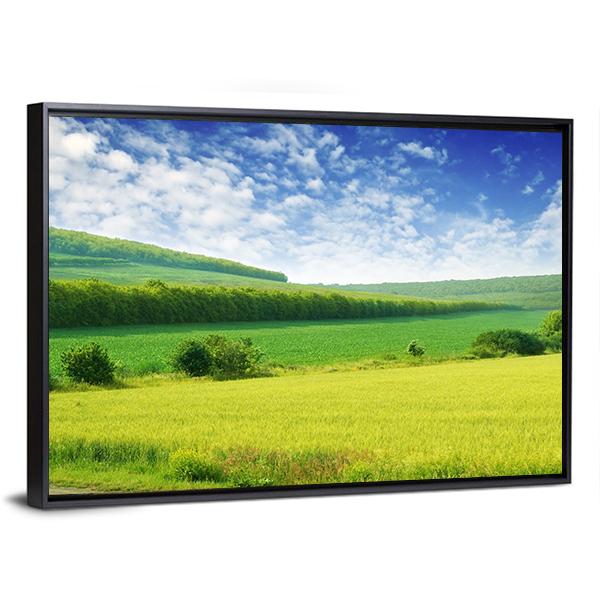 Green Spring Meadow Canvas Wall Art-3 Horizontal-Gallery Wrap-25" x 16"-Tiaracle