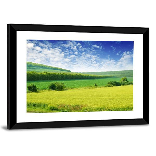 Green Spring Meadow Canvas Wall Art-3 Horizontal-Gallery Wrap-25" x 16"-Tiaracle