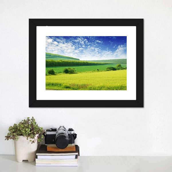 Green Spring Meadow Canvas Wall Art-1 Piece-Framed Print-20" x 16"-Tiaracle