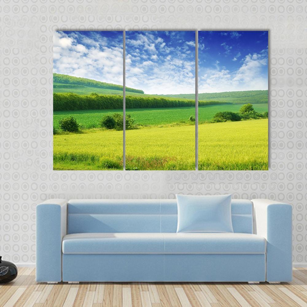 Green Spring Meadow Canvas Wall Art-3 Horizontal-Gallery Wrap-37" x 24"-Tiaracle