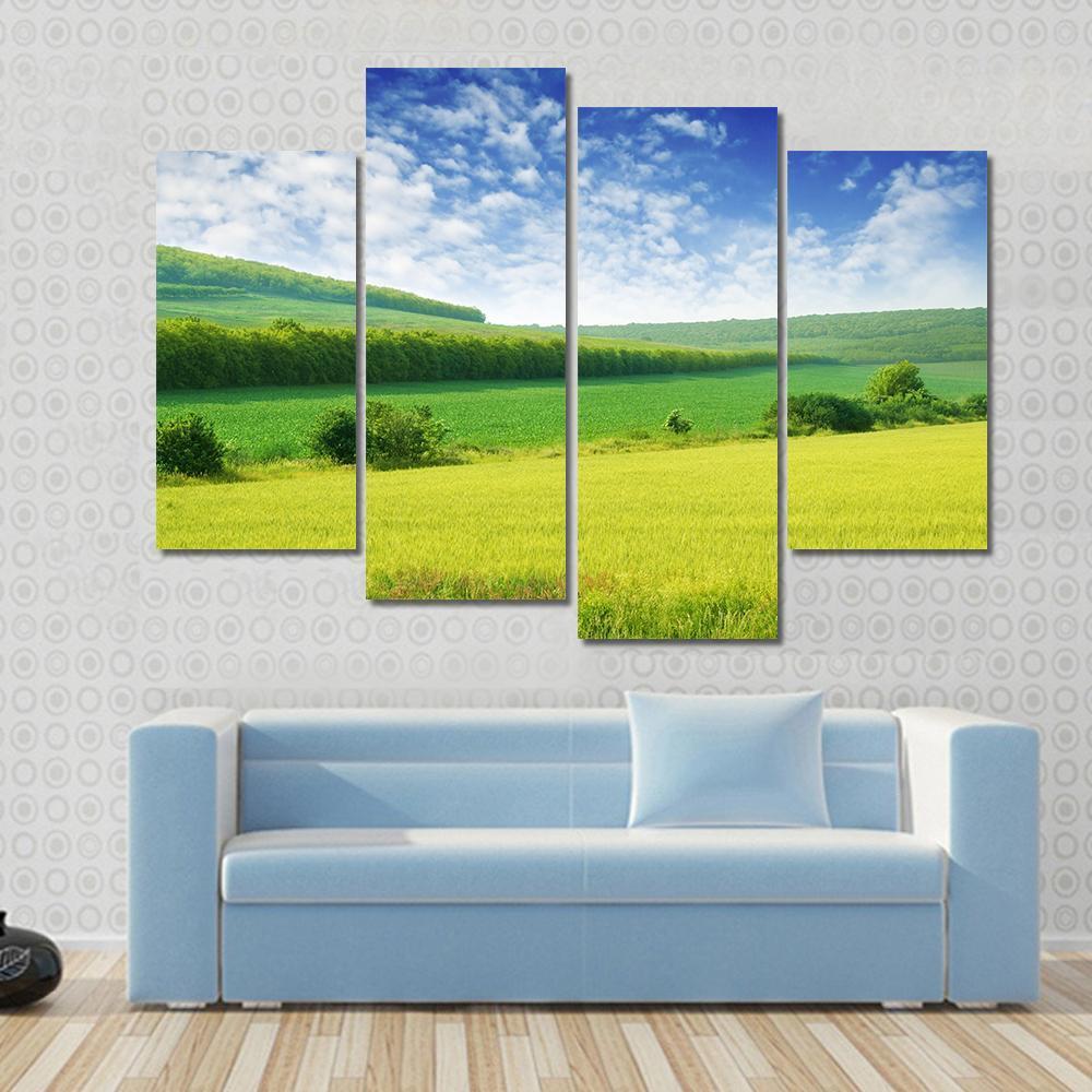 Green Spring Meadow Canvas Wall Art-4 Pop-Gallery Wrap-50" x 32"-Tiaracle