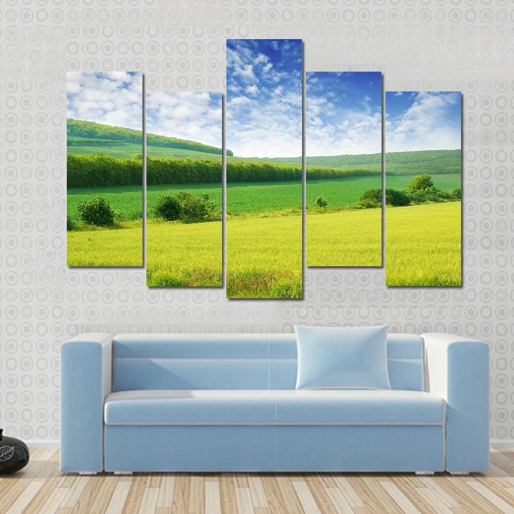 Green Spring Meadow Canvas Wall Art-5 Pop-Gallery Wrap-47" x 32"-Tiaracle