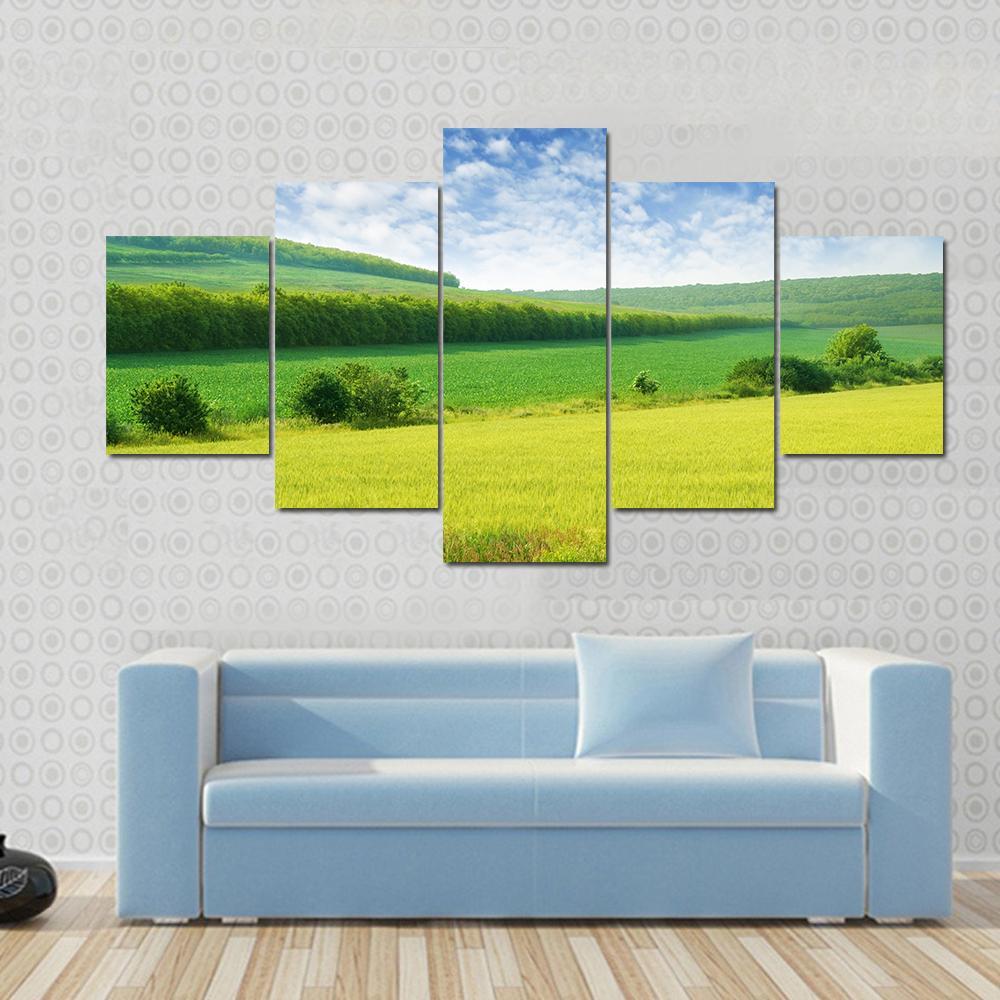 Green Spring Meadow Canvas Wall Art-5 Star-Gallery Wrap-62" x 32"-Tiaracle