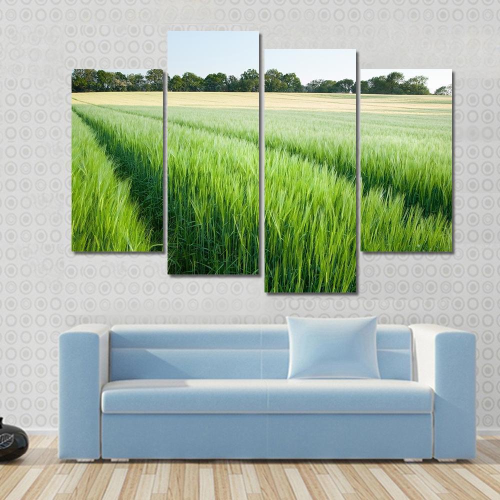 Green Wheat Field Canvas Wall Art-4 Pop-Gallery Wrap-50" x 32"-Tiaracle