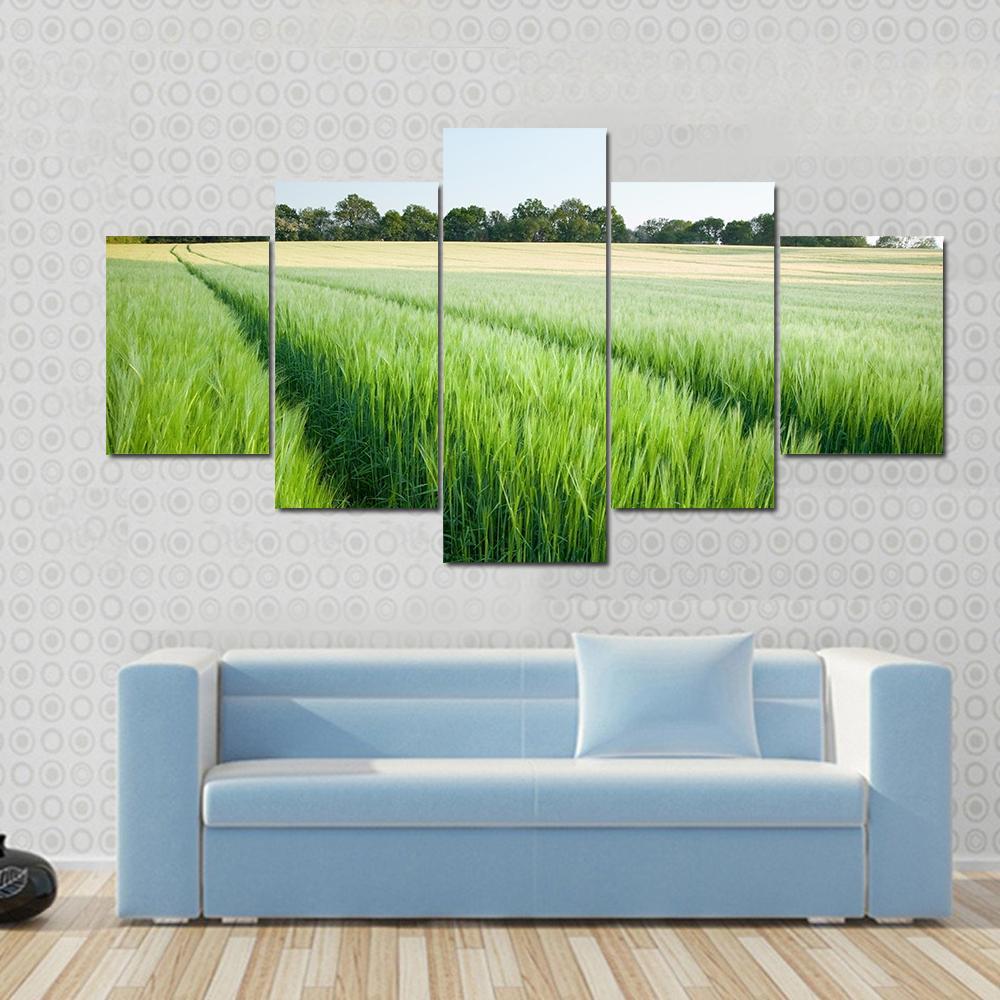 Green Wheat Field Canvas Wall Art-5 Star-Gallery Wrap-62" x 32"-Tiaracle