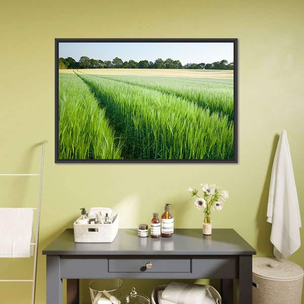 Green Wheat Field Canvas Wall Art-1 Piece-Floating Frame-24" x 16"-Tiaracle