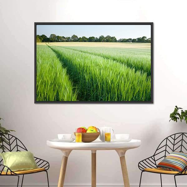 Green Wheat Field Canvas Wall Art-3 Horizontal-Gallery Wrap-25" x 16"-Tiaracle