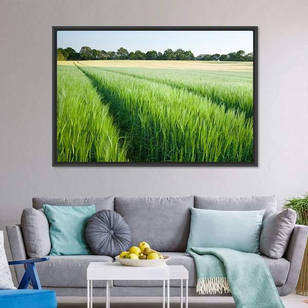 Green Wheat Field Canvas Wall Art-3 Horizontal-Gallery Wrap-25" x 16"-Tiaracle