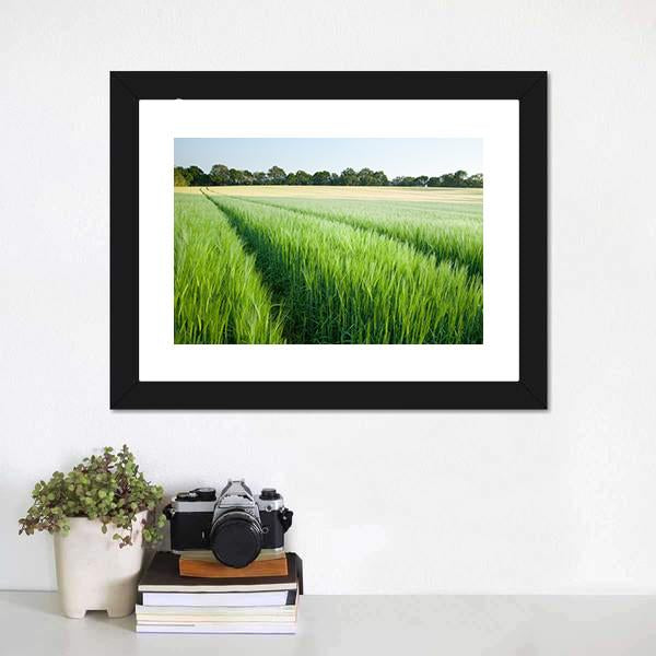 Green Wheat Field Canvas Wall Art-1 Piece-Framed Print-20" x 16"-Tiaracle