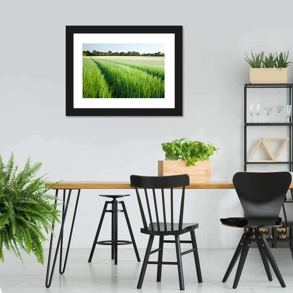 Green Wheat Field Canvas Wall Art-3 Horizontal-Gallery Wrap-25" x 16"-Tiaracle