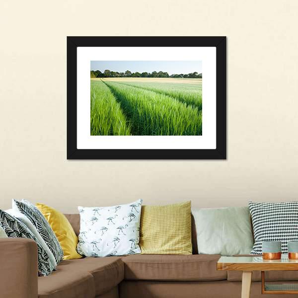 Green Wheat Field Canvas Wall Art-3 Horizontal-Gallery Wrap-25" x 16"-Tiaracle