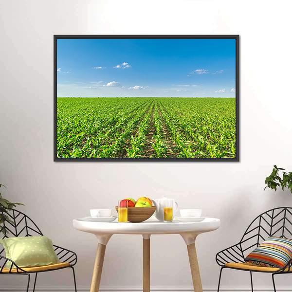 Growing Corn Field Canvas Wall Art-3 Horizontal-Gallery Wrap-25" x 16"-Tiaracle