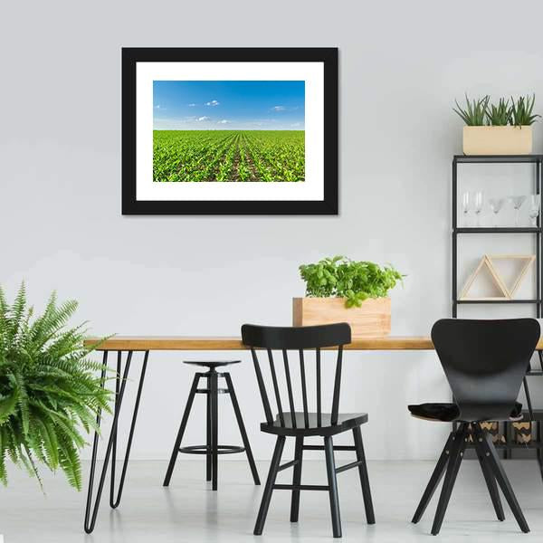 Growing Corn Field Canvas Wall Art-3 Horizontal-Gallery Wrap-25" x 16"-Tiaracle