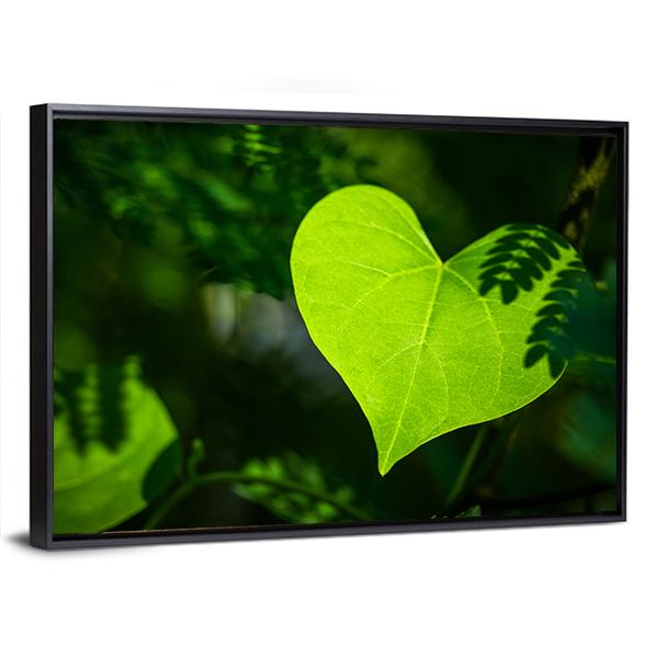 Heart Shape Leaf Canvas Wall Art-3 Horizontal-Gallery Wrap-25" x 16"-Tiaracle