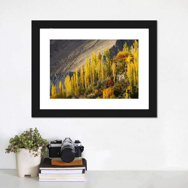 Hunza Valley in Autumn Canvas Wall Art-1 Piece-Framed Print-20" x 16"-Tiaracle