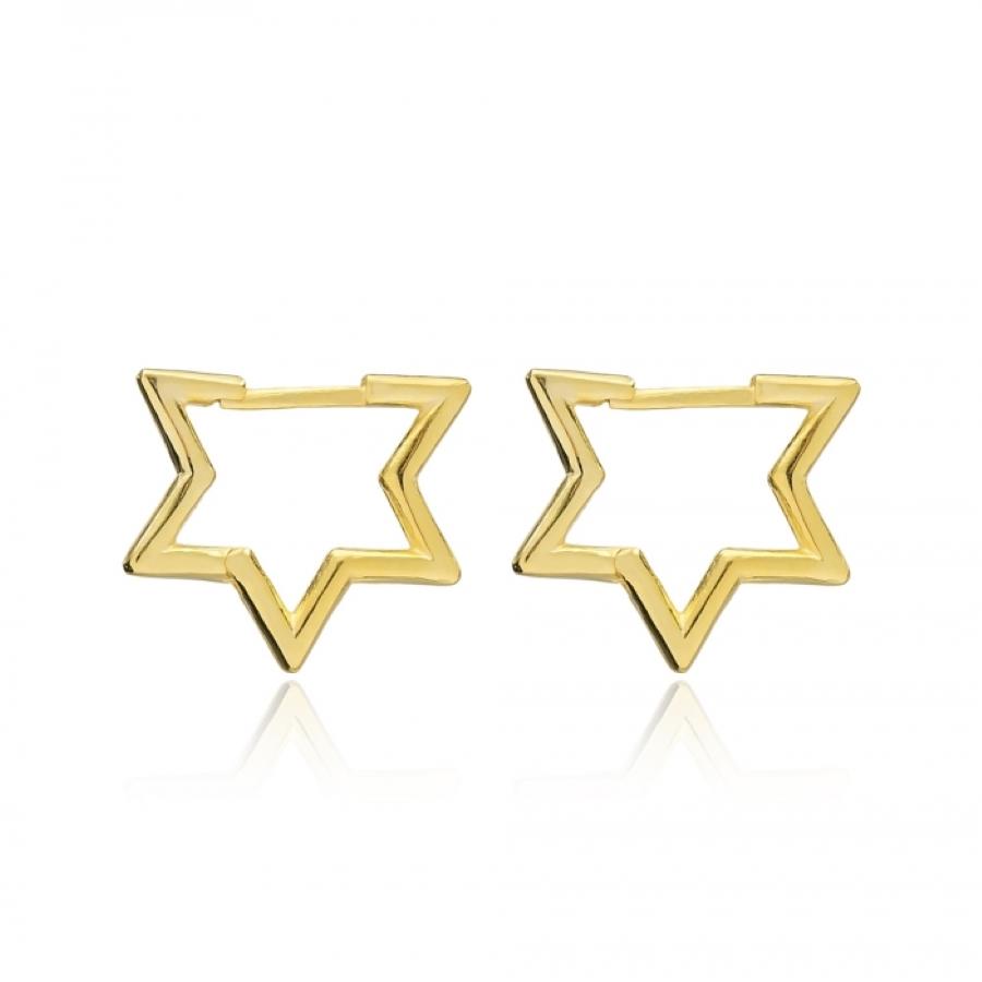 Modern Day Jewish Star of David Earrings