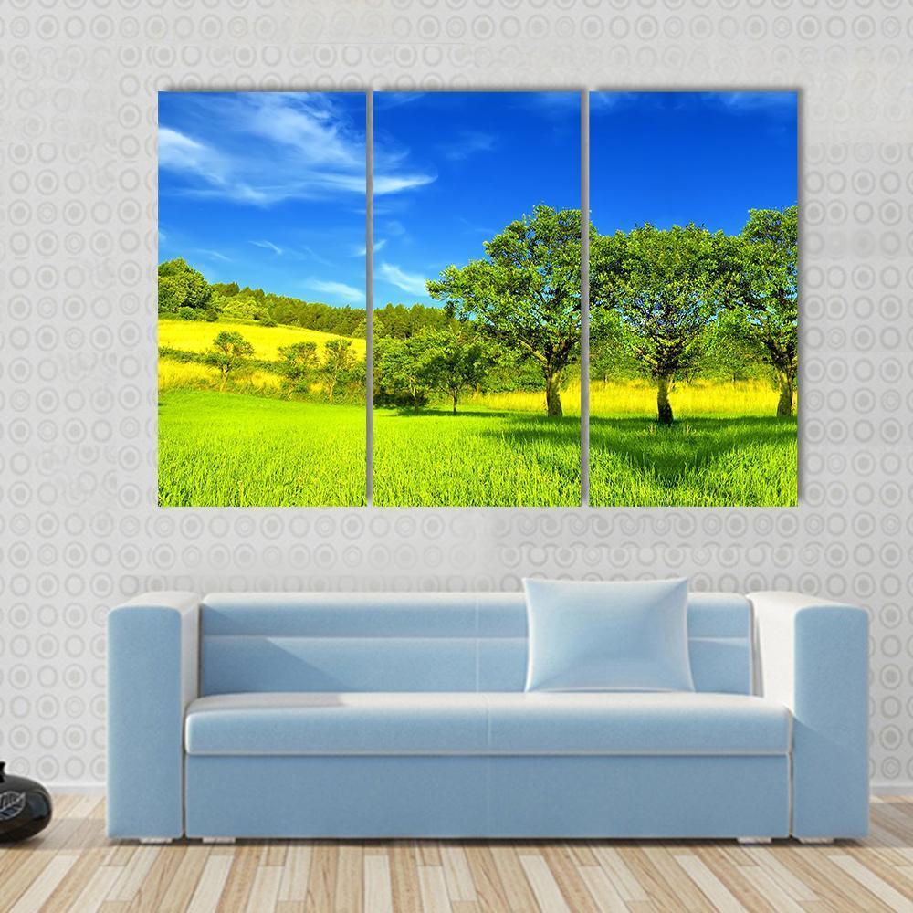 Landscape In Summer Canvas Wall Art-3 Horizontal-Gallery Wrap-37" x 24"-Tiaracle