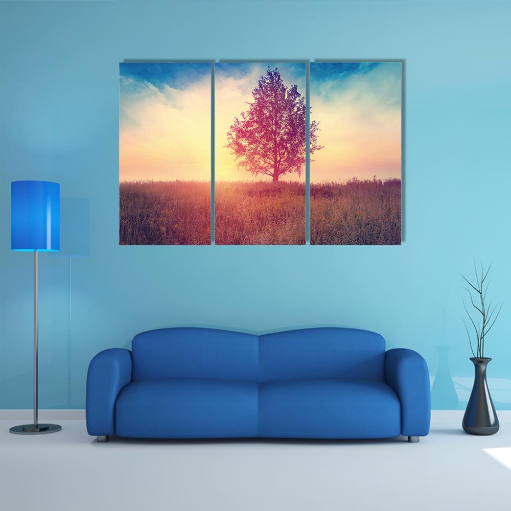 Alone Tree Over Sunrise Canvas Wall Art-3 Horizontal-Gallery Wrap-37" x 24"-Tiaracle