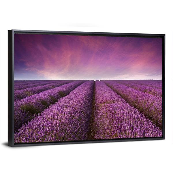 Lavender Field At Sunset Canvas Wall Art-3 Horizontal-Gallery Wrap-25" x 16"-Tiaracle