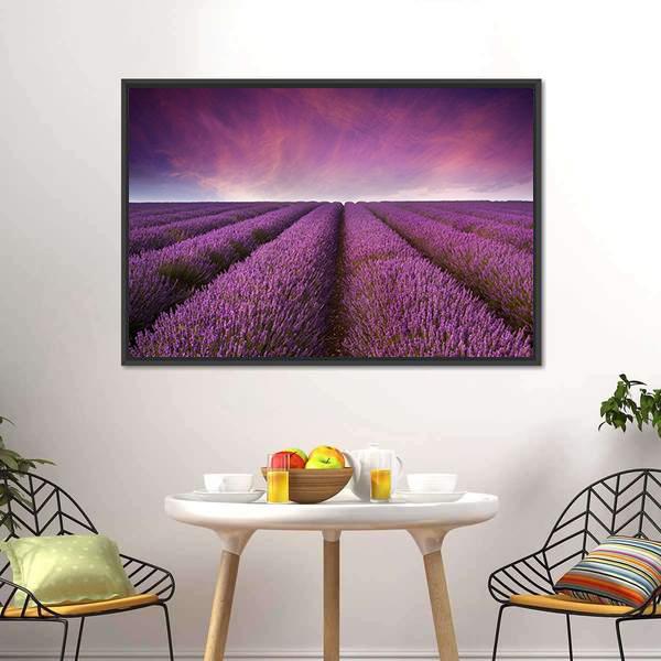 Lavender Field At Sunset Canvas Wall Art-3 Horizontal-Gallery Wrap-25" x 16"-Tiaracle